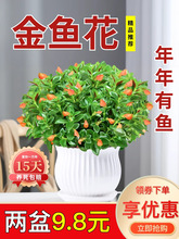 ��Ʒ���~���m���Ԏ������҃��̨�ﶬ���B���ļ��ͺ��_���ܾGֲ��