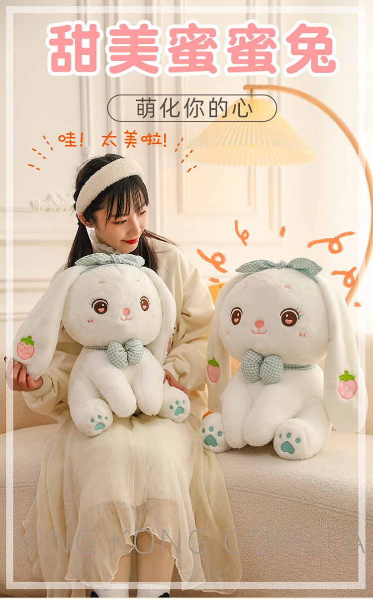 蜜蜜兔 (1).jpg