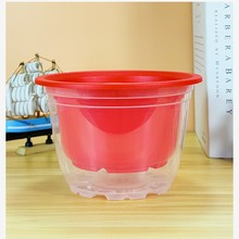 �G�}�����Ԅ���ˮˮ�����҃����ϵ��m����ˮ��Gֲ͸���Ӻ��ɫ��