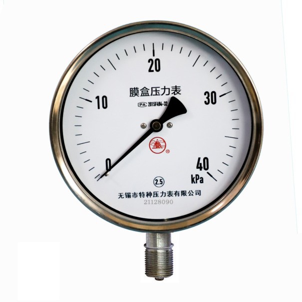 膜盒压力表YE-150不锈钢微压表雪浪仪器仪表无锡特种