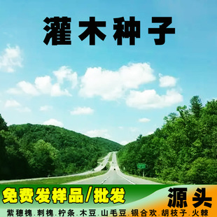 �S�����l��ľ�N��Ó�����뻱�y�Ϛgľ���̻���ľϬ�໨ľ�m�G�l��