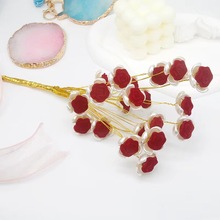 ֲ�qõ�廨 20mm����������ֲ�qõ�廨ͨ�׻����ֹ���DIY���h�l�A