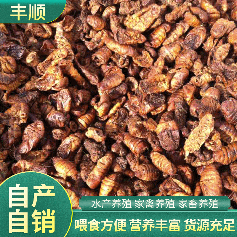 水产鱼类养殖饲料原料干蚕蛹 蛋白饲料原料 鸟食整个干蚕蛹