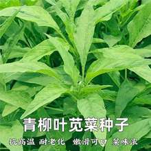 ~{˷Nӿߜ{˷N͝ͺͷļ߲˷N