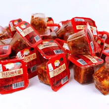 名正豆腐乳约20g湖南腐乳霉豆腐小方块农家手工自制香辣下饭菜