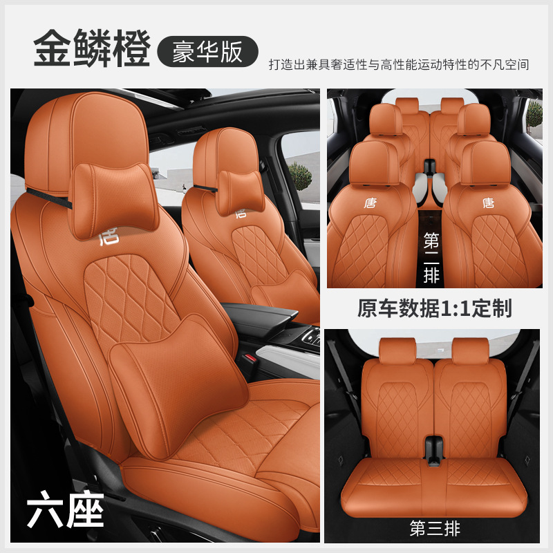 JFY-[골든 스케일 오렌지] 디럭스 에디션 6