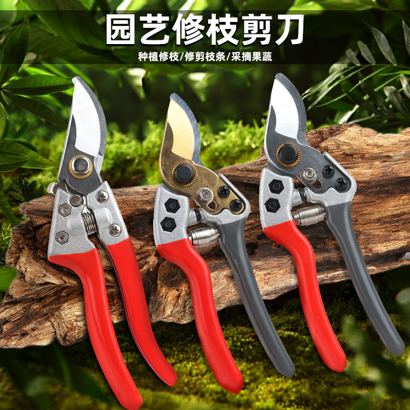 批发修枝剪剪刀园林修剪树枝剪刀果枝剪粗大花剪园艺剪子工具