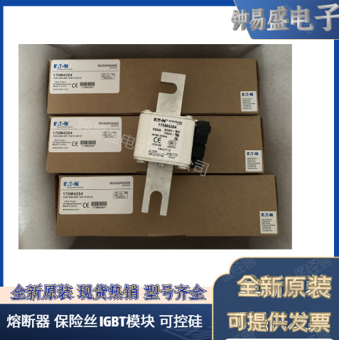 美国BUSSMANN熔断器170M4212  170M4213  170M4214  170M4215
