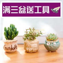 ����ֲ��С���Ԏ�������С�Gֲ���B�҃�������w����������������