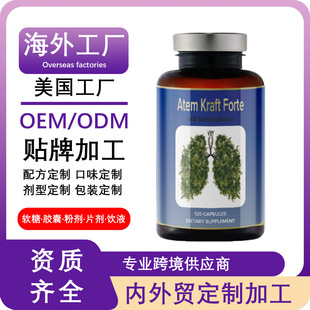 ���⹤�����SQuercetin tablets�B�o���΄�������Ƥ��Ƭ�� �SOE M