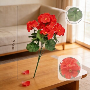 ���溣�Ļ��ٻ��Ҿ��bɻ��͏d�[���r�����滨�Όӿ羳���N��