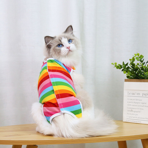 Cat spay surgery postoperative fruit series four seasons pet clothing supplies for small and medium dogs all-inclusive