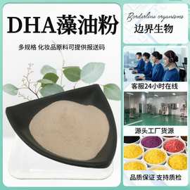 DHA藻油粉20%-40%藻油DHA微囊粉二十二碳六烯酸深海营养强化剂液.