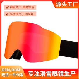 骑行眼镜;滑雪镜;宠物鞋靴