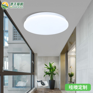 New Product led Ceiling Light Living Room Household Round 360 Light-emitting Study Light Balcony Corridor Aisle Lamps Customized