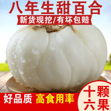 ��؛�m���r�ٺ��m�ݰٺ��r���m�ݰٺ�ʳ����ٺ����r�ٺϸ��C�خa