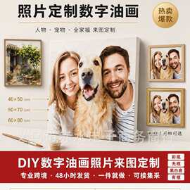 跨境爆款数字油画DIY照片来图定制自定义图片填色画厂家客厅装饰