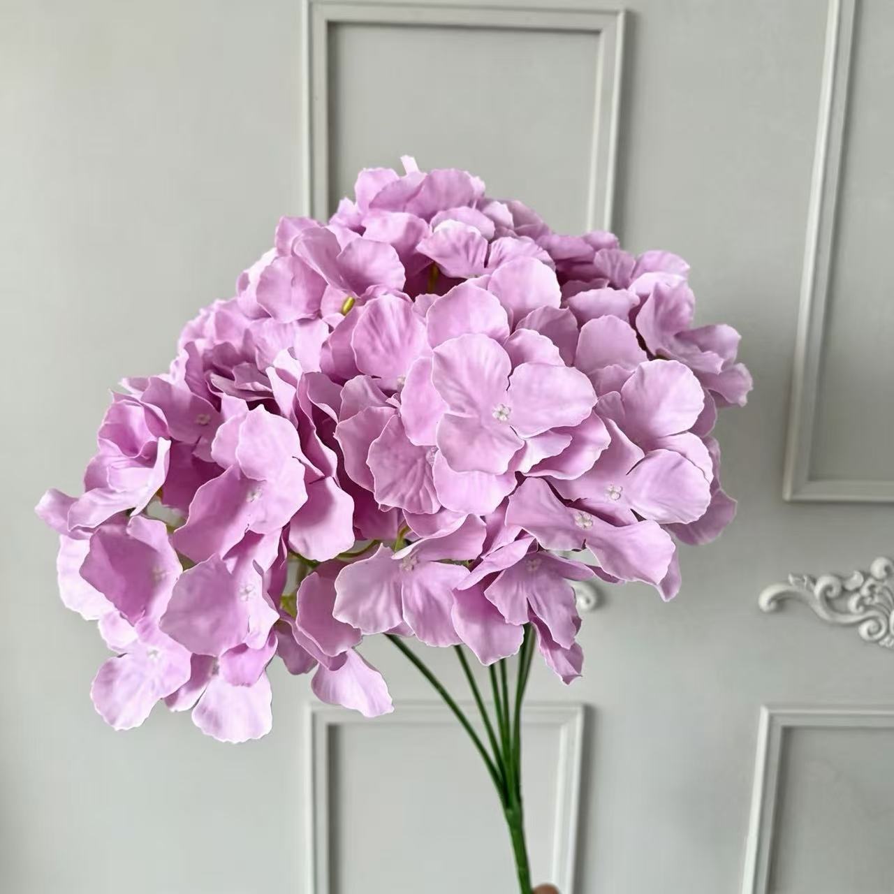 보라