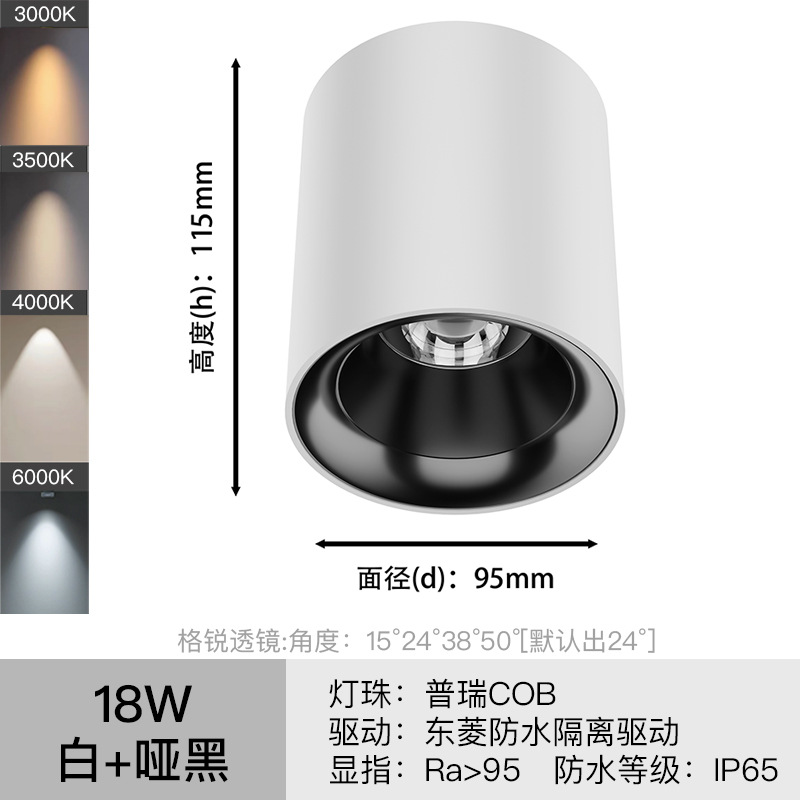 LED luz de techo impermeable al aire libre baño hogar baño techo tienda al aire libre cob luz de techo de techo