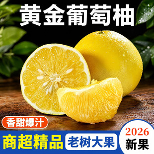 �S�����������r���������l����9�����ֱ������֭����Դ�^�F؛