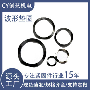 Sl65MNlڲβ͏ԉ|Ƭ受ɉ|Ȧp