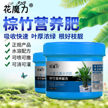 棕竹专用营养肥观音竹金山棕筋头竹盆景水培室内观叶地栽四季养护