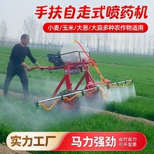 Ͳ׹@С݆șCַʽ߉rüôșC