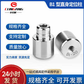 B型直导柱圆形直身零度导柱高精密模具定位柱定位器定位销厂家