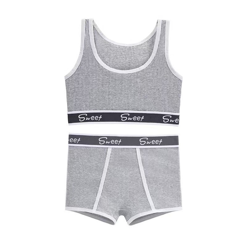 Traje deportivo de fitness europeo y americano transfronterizo Pantalones cortos para correr Ropa interior deportiva para mujer Pantalones bóxer Comercio exterior Traje de sujetador de talla grande