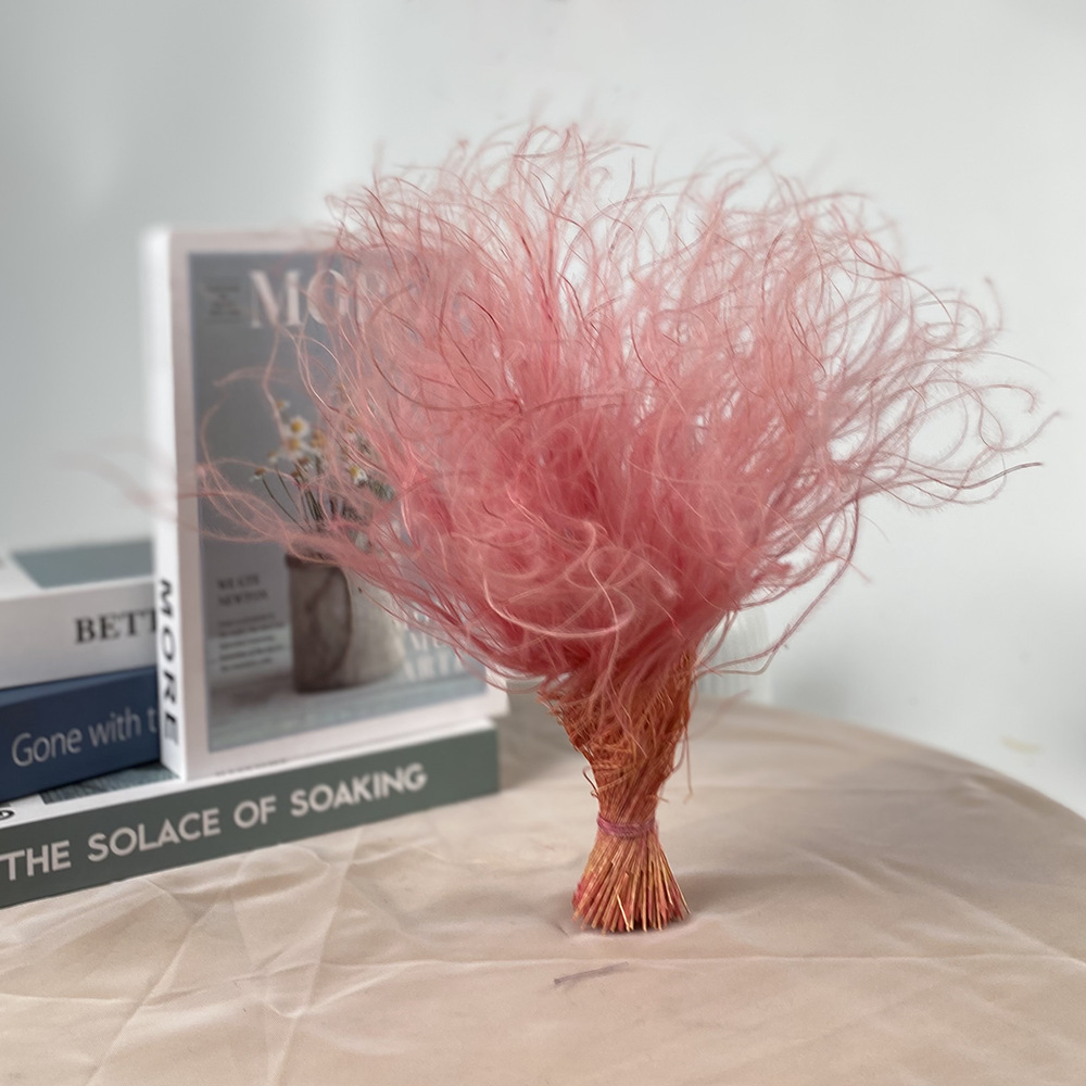 Flor eterna de plumas de peluche hierba flor seca flores DIY accesorios de la Flor al por mayor del Día de San Valentín flor