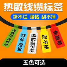 p�͟����ϳɼ����|�˺��W���˺���ͨ�řC��������ɫ�N72*24*500