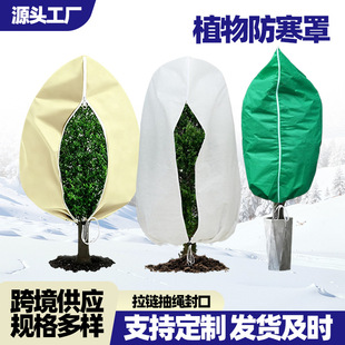 ���S���ƿ羳ֲ������� �o�������ֱ��o�� ������ľ����������