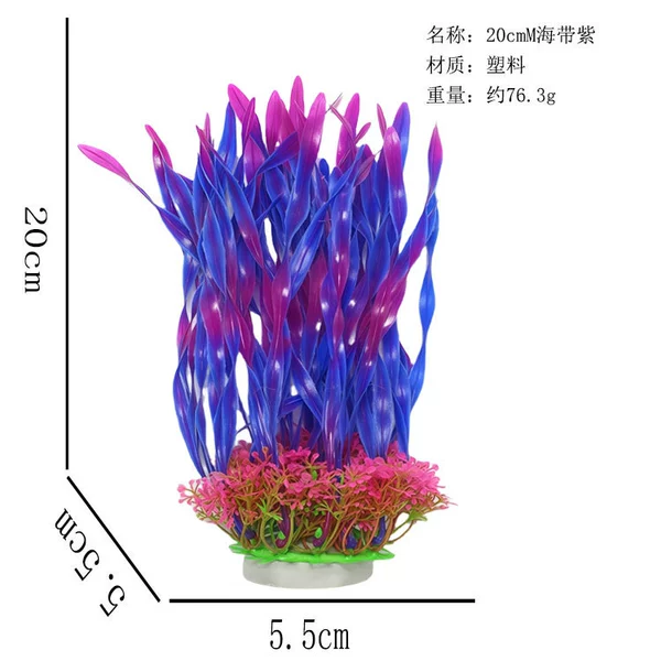 20cmM kelp purple
