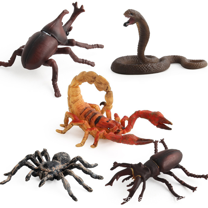 Cross-Border Artificial Solid Spider Cobra Mantis Beetle Sand Table Insect Animal Model Scene Ornaments Science and Education Cross-Border Artificial Solid Spider Cobra Mantis Beetle Sand Table Insect Animal Model Scene Ornaments Science and Education