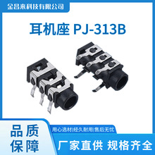 ���C���� PJ-313B 5P��� �������C��