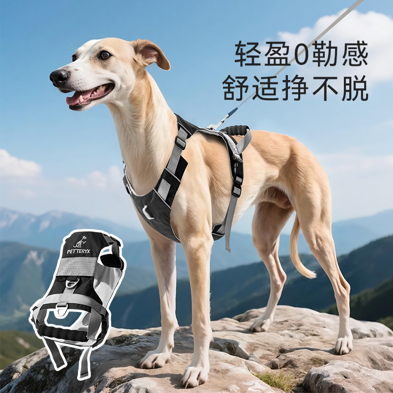 Cuerda de tracción para mascotas, perro mediano y grande, cría de animales, golden retriever, a prueba de explosiones, hebilla de doble anillo, correa para el pecho, transpirable