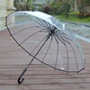 Transparent umbrella long -handle umbrella female student South Korea INS small fresh and cute cartoon thickened reinforcement straight pole bend hook umbrella