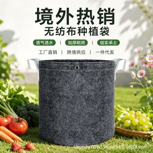 �Ӻ񻨈@ֲ��Nֲ͸��͸�G��ˮ�辰ë�֟o����ֲ�����ֲ������