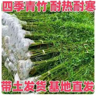 ������ͥԺ�҃����^�p�����S�����_�h��������ë�������ļ��û�