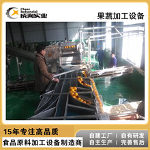 1T/H��۝�s֭�ӹ��O�� ȫ�Ԅӽ����ϴ����ե֭�������b���a��