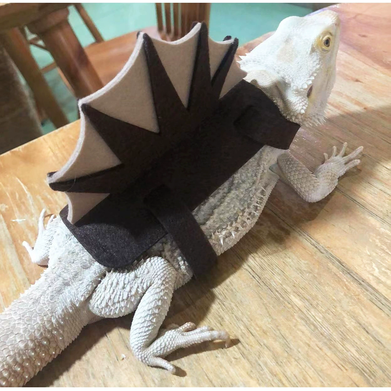 Amazon New Lizard Chameleon Transformer Funny Clothing Small Pet Dinosaurs Funny Accessories