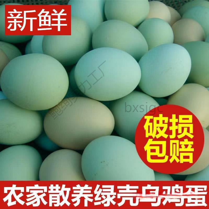 新鲜绿壳乌鸡蛋农家散养绿壳土鸡蛋笨鸡蛋新鲜天然绿壳蛋包邮批发