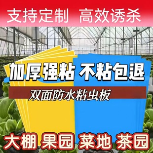 ճ�x�及���T�x���S�{һ�w�p���ճ��ˮ�����T�����@�羳�S�ҬF؛