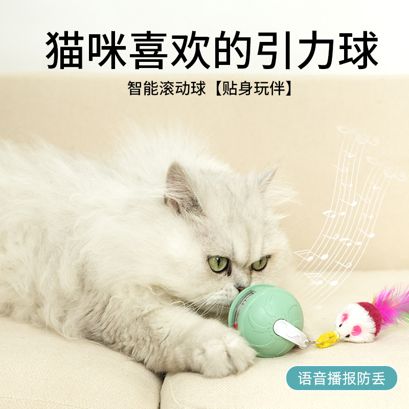 크로스보더 애완동물 장난감 스마트 레이저 고양이 몽둥이 모방 쥐 자동 고