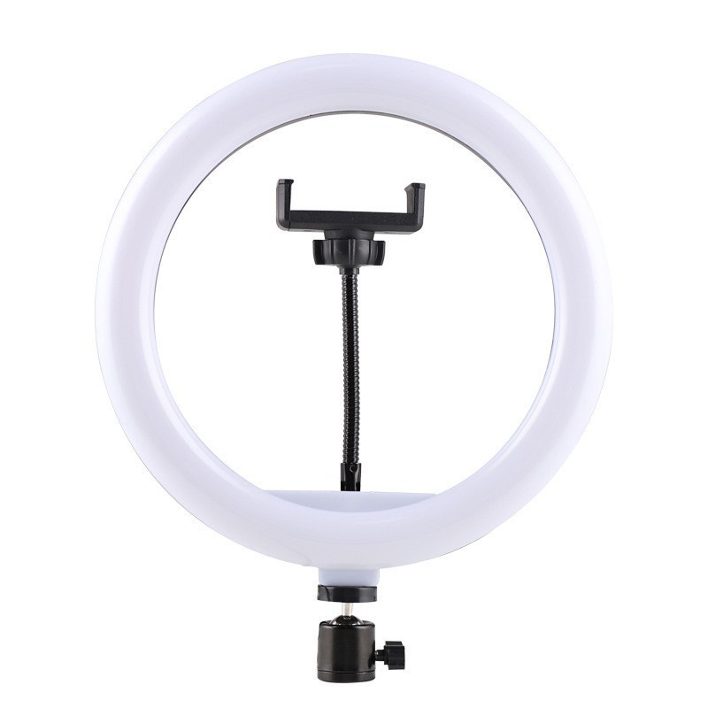 10 pulgadas foto iluminación RGB anillo portátil luz de transmisión en vivo profesional luz de belleza fotografía de luz