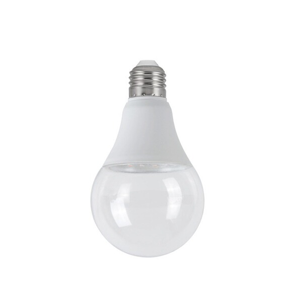 LED fill light