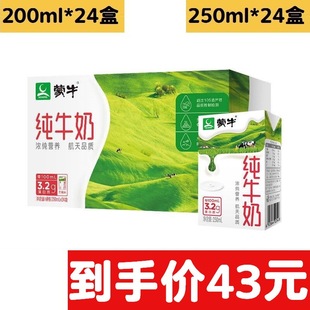 mengniu��ţ��250ml*16��/�� ���� �����