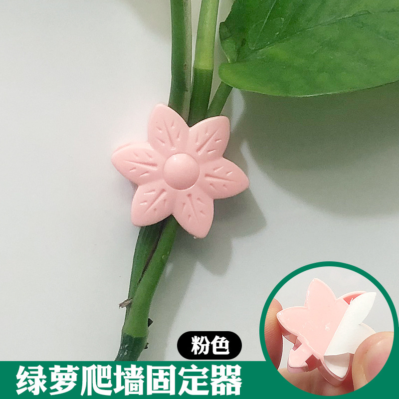 アマゾンの新型の花の緑のロロの固定器の痕跡がない家庭用のフックの掛け金の壁掛けのつるの植物のクリップ|undefined