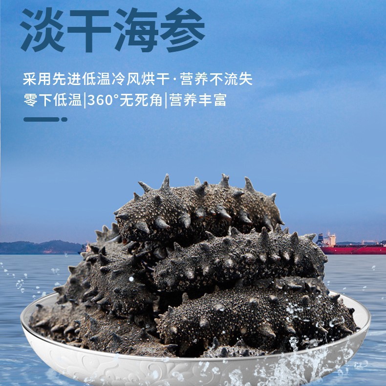 淡干海参干货非即食海参易泡发纯野生辽参干野海参厂家批发干海参|ru