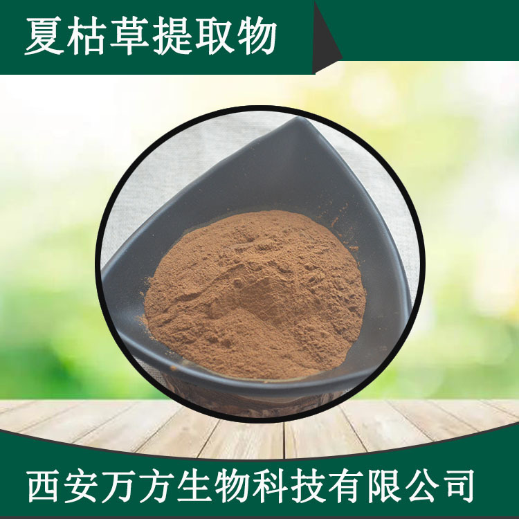 夏枯草提取物10:1夏枯草皂甙万方现货批发包邮夏枯草浓缩浸膏粉